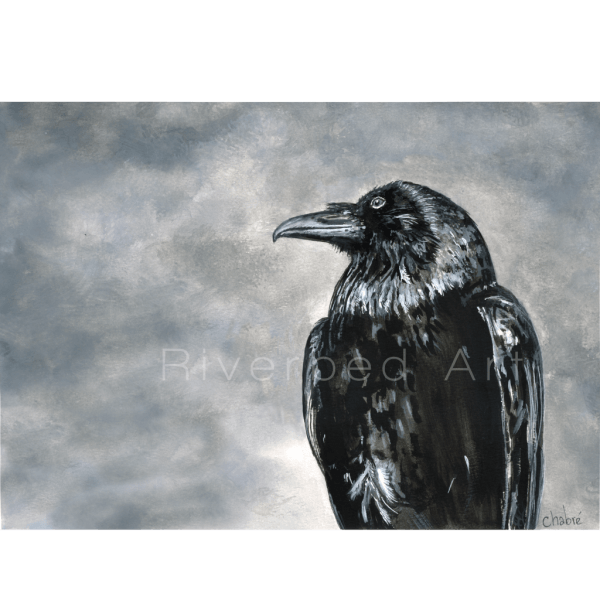 raven fine art print close up of black raven painting with textured gray background watercolor gouache