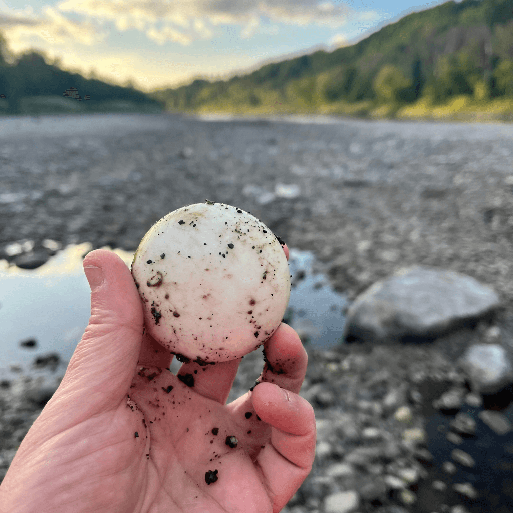White antique doorknob held above the exposed Aroostook River bed in Caribou, Maine