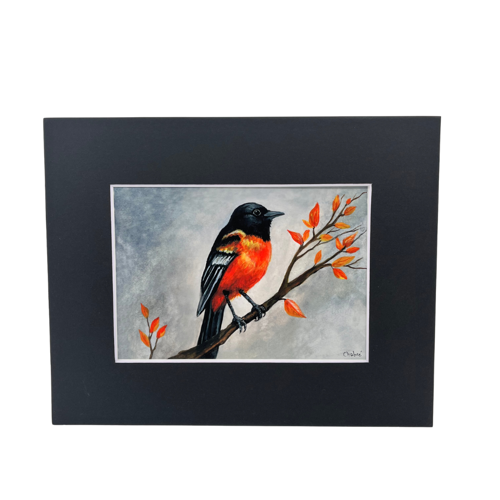 Baltimore Oriole fine art print in a black mat on a white background, showing an orange and black bird on a leafy branch.