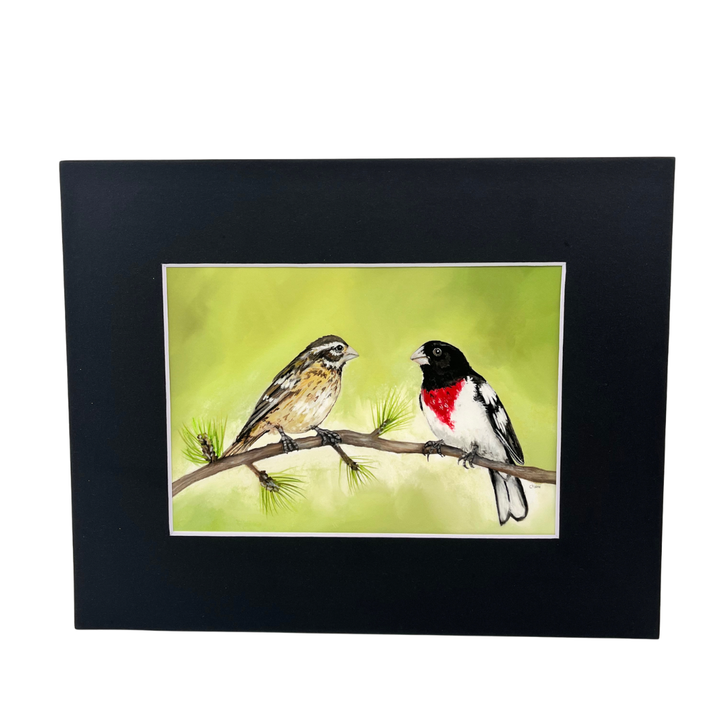 Grosbeak couple fine art print in a black mat on a white background, showing two birds perched on a pine branch.